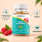 Multivitamines Gummies – 11 Vitamines + Biotine & Acide Folique – 25 Gommes – Image 3